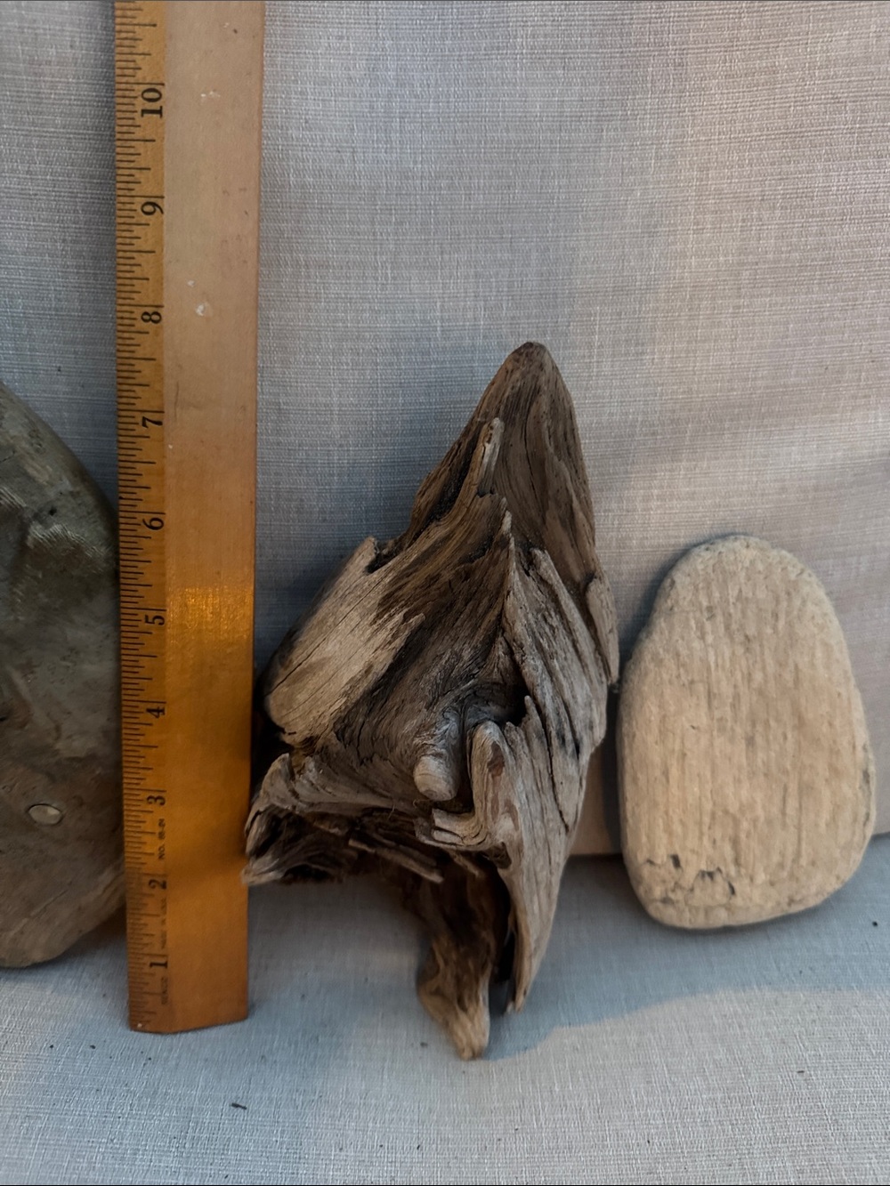 Natural Pacific Northwest Collected Beach Driftwood Decorative Accents 15 pcs - Picture 12 of 12